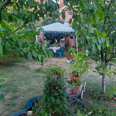 Apartman Drina Berilovac المظهر الخارجي الصورة