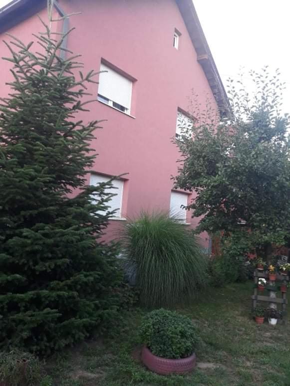 Apartman Drina Berilovac المظهر الخارجي الصورة